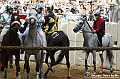 VBS_1112 - Palio di Asti 2024